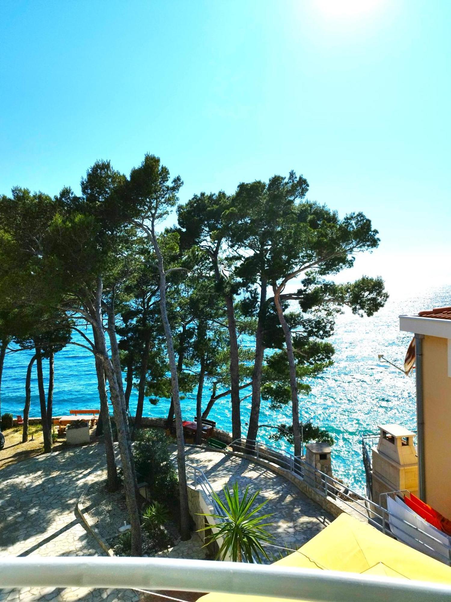 Apartment Jelas Živogošće 外观 照片