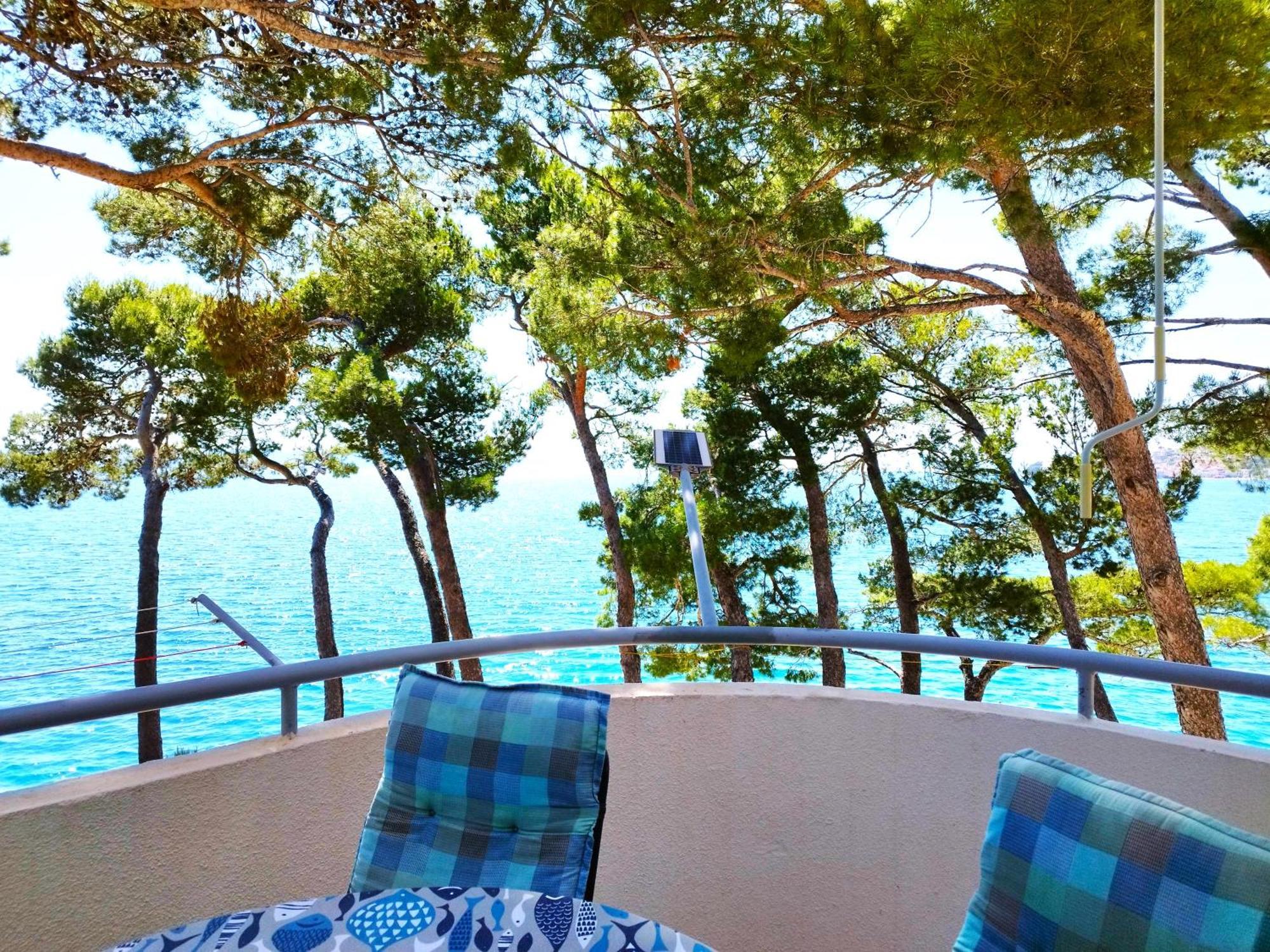 Apartment Jelas Živogošće 外观 照片